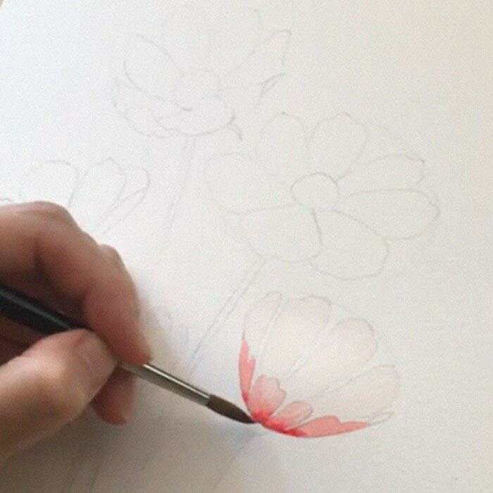 Корейская художница показала, как нарисовать идеальные цветы в 3 простых шага   Интересное
