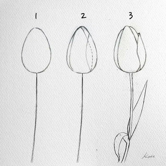 Корейская художница показала, как нарисовать идеальные цветы в 3 простых шага   Интересное
