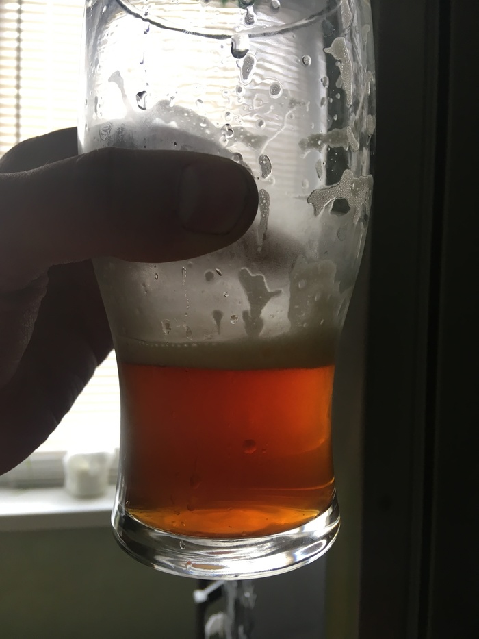 Домашнее пиво своими руками пиво