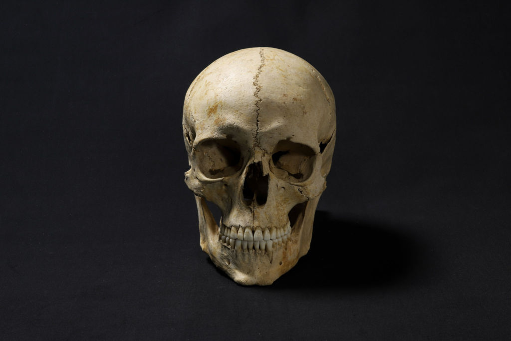 Как выглядел человек, живший 1300 лет назад: реконструкция лица Археология
