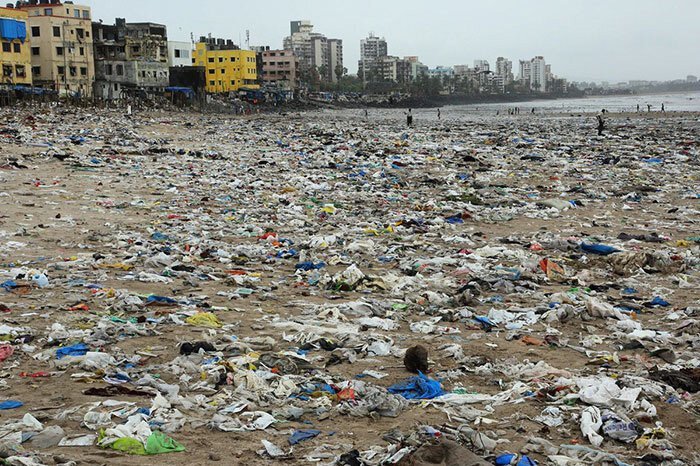 С пляжа в Индии убрали 5000 тонн мусора, чтобы спасти черепах   Интересное