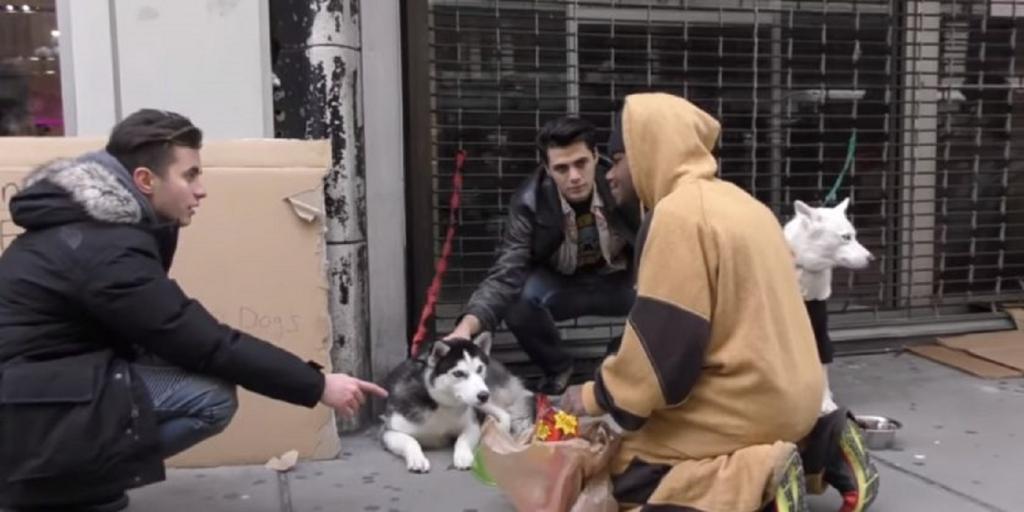 Социальный эксперимент: двух собак хаски оставили на улице с просьбой помочь. Откликнулся только один мужчина Интересное