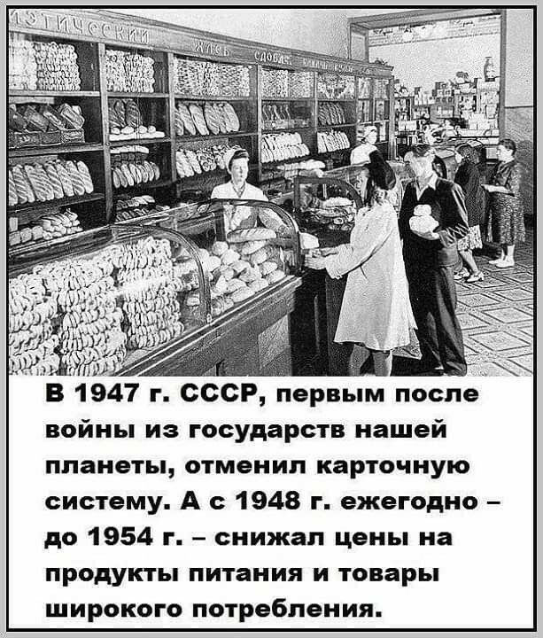 Граждане СССР ели мясо почти даром, а деликатесную рыбу скармливали кошкам   Интересное