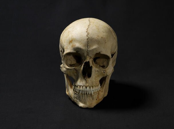 Учёный восстановил внешность человека, жившего 1300 лет назад   Интересное