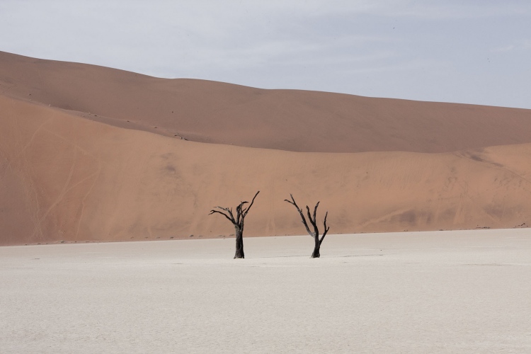 8 фото пустыни Намиб – места, где ничего нет мир,путешествие,туризм
