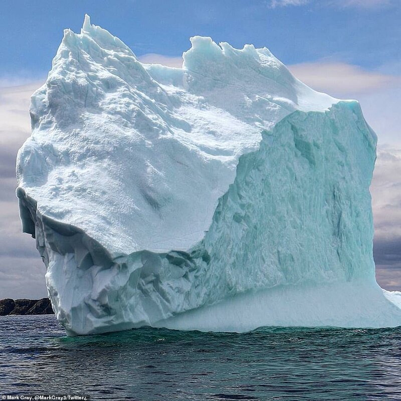 Как выглядит шествие айсбергов по Лабрадорскому морю природа