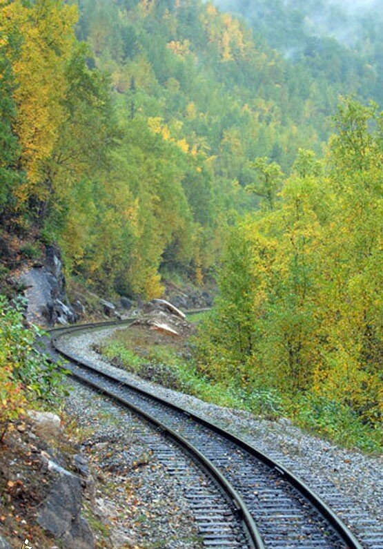Ужасающие железные дороги со всего мира Путешествия,фото