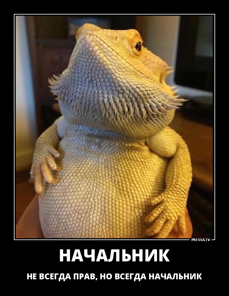 Демотиваторы юмор