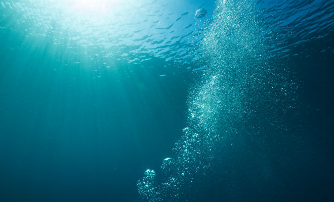 5 способов дышать под водой Интересное