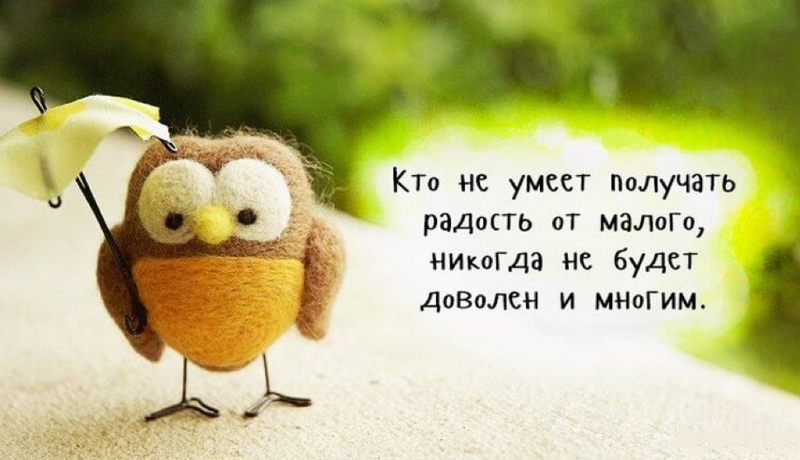 Мелочи, которые поднимают настроение даже в самый грустный день   Интересное