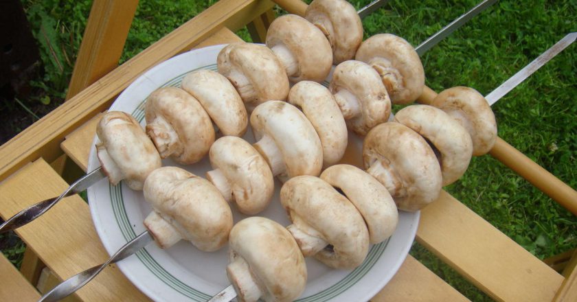 Шампиньоны в тесте закуски,кулинария