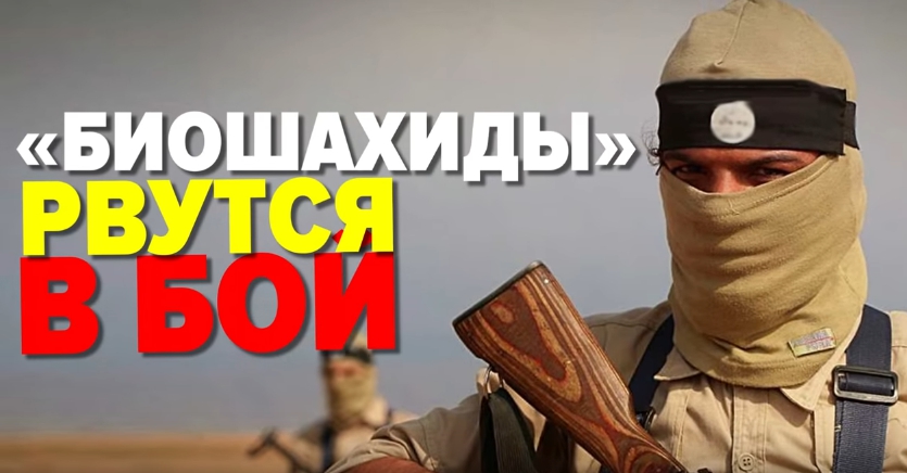 Россия усиливает южный фланг и готовится встречать «незваных гостей» новости,события,политика