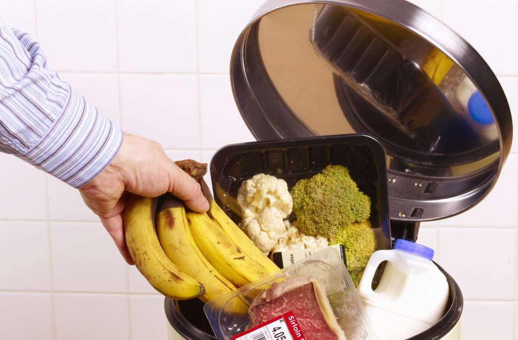 Как перестать выбрасывать продукты и научиться использовать морозилку не только для мяса. Часть 3. идеи,рецепты,советы на кухне,Хранение продуктов