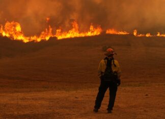 Дорогі та смертельні лісові пожежі дійсно зростають, знайдені нові дослідження