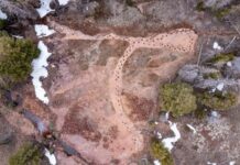 У Колорадо знайшли сліди кульгаючого динозавра зауропода віком 150 мільйонів років