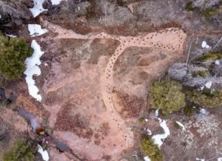 150 Millionen Jahre alte Fußabdrücke offenbaren mögliches Hinken eines riesigen Dinosauriers