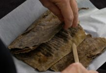 Норвезький кодекс тварин: Пісенник Середнього Веге, покритий тюленячою шкірою