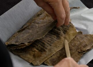 Norweski kod zwierząt: śpiewnik w stylu średniowege pokryty foczą skórą