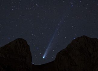 Komet Lemmon: Ein Blick in die Vergangenheit des Sonnensystems