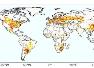 Походження опадів розкриває приховану причину ризиків посухи для фермерів