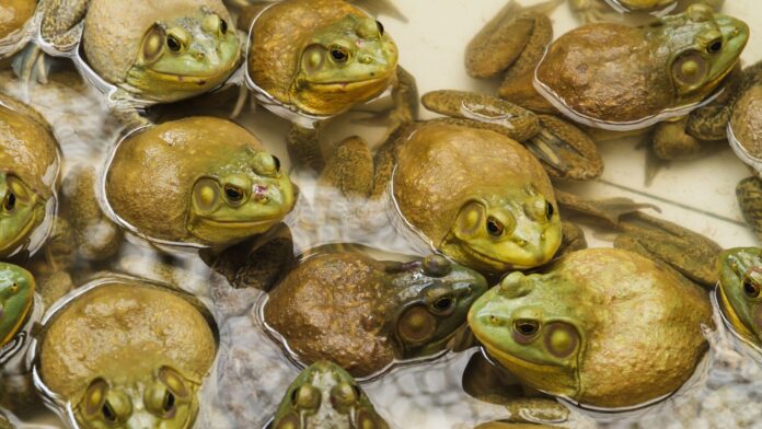 14c83d1d-af04-4ecd-a136-817d75147d75