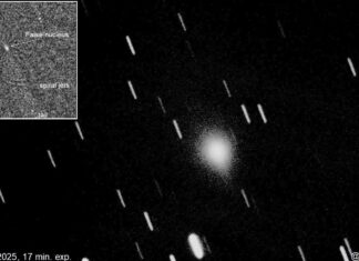 Zonnestormen, ruimteongelukken en schimmels in Tsjernobyl: een wetenschappelijke update
