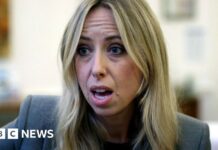 Вічні хімікати в нашій крові: що вам потрібно знати