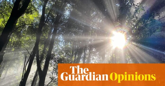 250950c3-cc32-4f9e-916e-cd846550a7ec