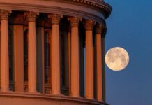 Лютневий сніговий місяць і бджолиний зірковий рій цих вихідних