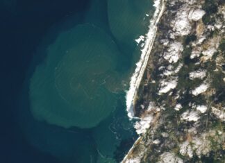 Colossal Waves in Nazaré: Underwater Plumes Viditelné z vesmíru