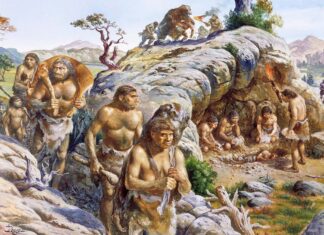 El mestizaje entre neandertales y humanos: un fenómeno histórico generalizado
