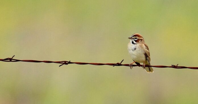 c1f21e18-35df-4645-8adf-ae9edca78010