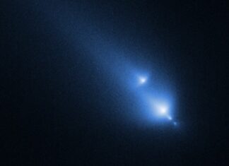 Hubble Captures Rare Comet Breakup, Revealing Ancient Solar System Material