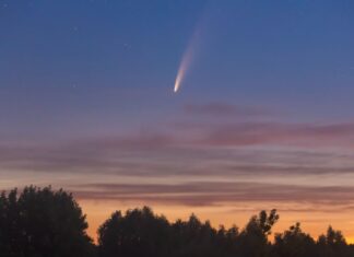 Vislumbrando el cometa PanSTARRS: una guía para el evento celestial de esta semana