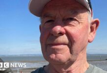 Дискусія про пластикові газони: зручність чи екологічна катастрофа?