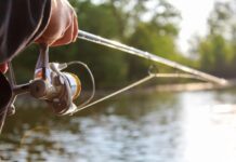 The Great Browning: come le acque sempre più scure stanno riscrivendo le regole della pesca