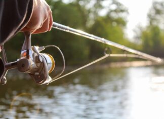 The Great Browning: Bagaimana Perairan yang Gelap Menulis Ulang Aturan Memancing