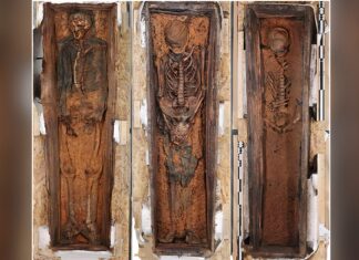 Corpse Point menghilang. Begitu juga dengan orang-orang yang meninggal di sana