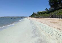 Зелений пісок та сині води: чи допомагає скидання каменів?