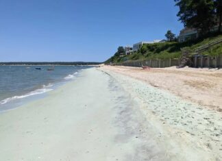 Sable vert, eaux bleues : le déversement de pierres aide-t-il ?