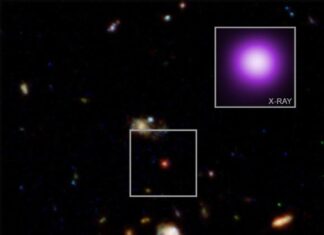 The “X-ray Dot”: A Missing Link in the Mystery of Little Red Dots