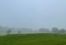 L’équipe de nettoyage cachée de Fog : comment de minuscules bactéries mangent des polluants la nuit