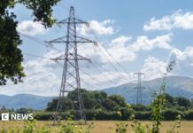 Фермери отримали визнання після рішення у справі Green Gen