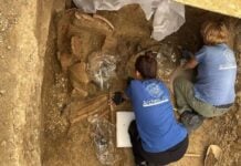 Влада Пікенів: Гробниця воїна-князя 2500-річної давності