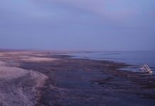 Toxic Dust and Broken Promises: The Human Cost of California’s Salton Sea Crisis