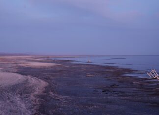 Poussières toxiques et promesses non tenues : le coût humain de la crise de Salton Sea en Californie