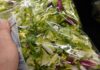 El problema de la ciclospora: lavar los productos como si tu vida dependiera de ello